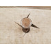 Panzerfaust 30 Big tail part 