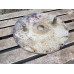 Jagdpanzer 38 T Hetzer backside round lid with starter brackets