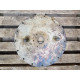 Jagdpanzer 38 T Hetzer backside round lid with starter brackets