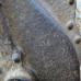 20 ton Jack for Panther / Tiger long version SBW