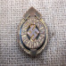 HitlerJugend - Hitler Youth Golden Leaders Sports Badge RZM 